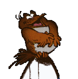 Gif animé Boule et Bill oiseaux